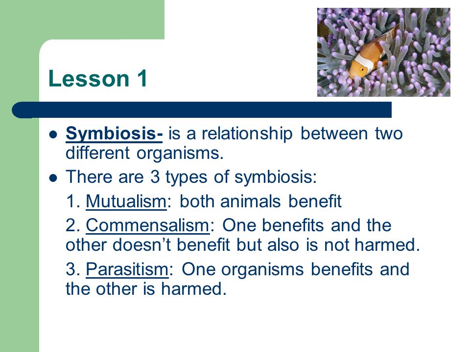 Lesson 1 Symbiosis- is a relationship between two different organisms.
