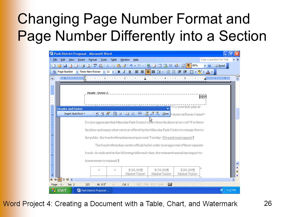 Changing Page Number Format and Page Number Differently into a Section