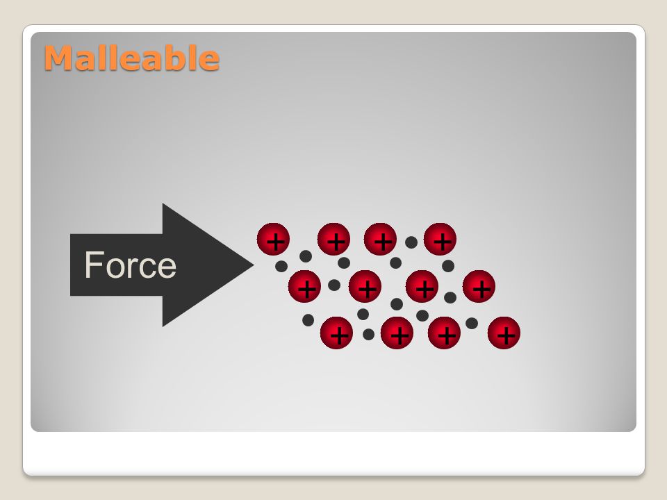 Malleable + Force