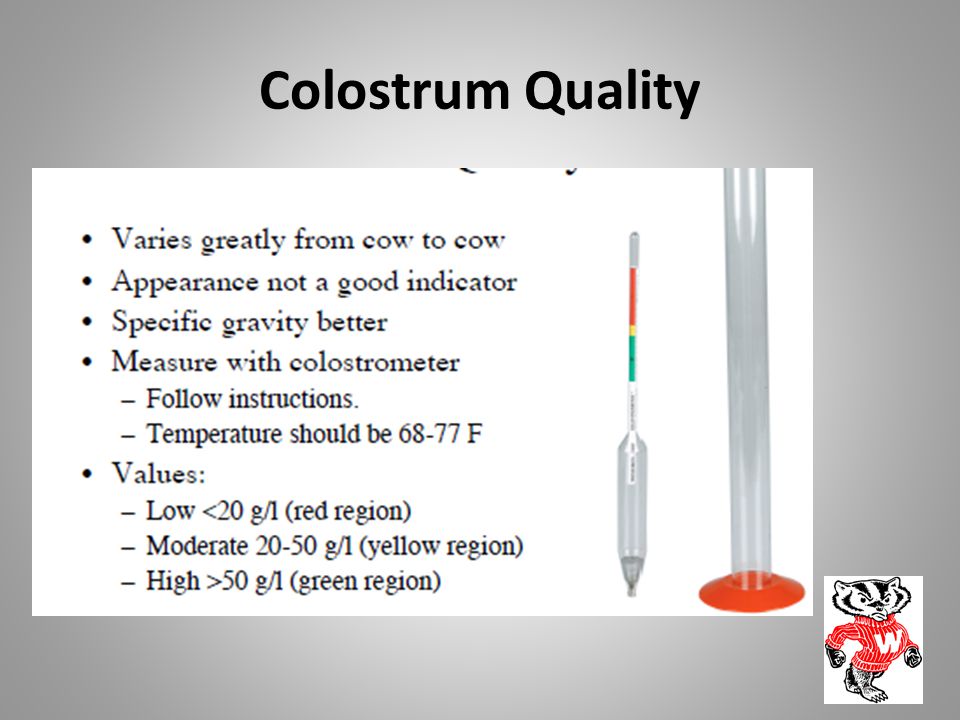Colostrum can cause burning anus