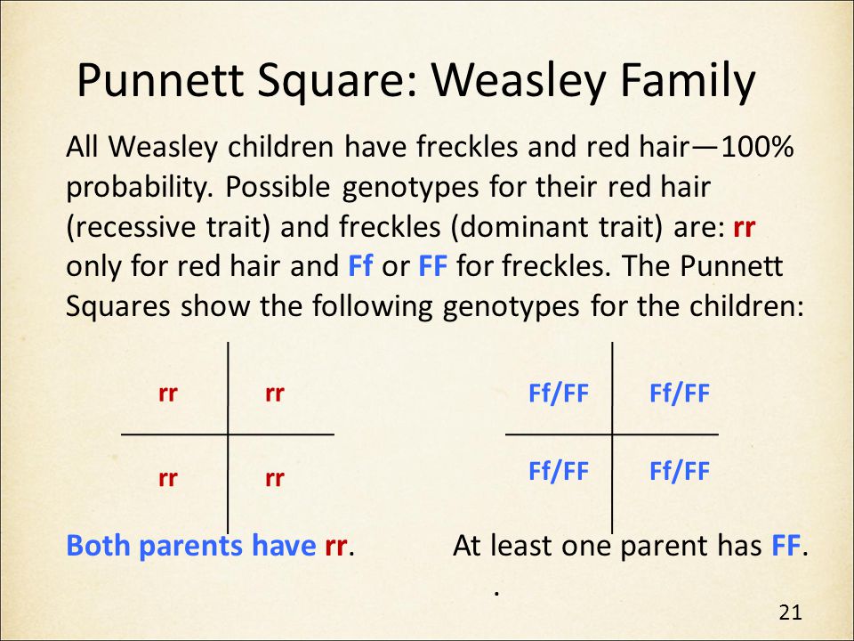 Punnett Square: Weasley Family