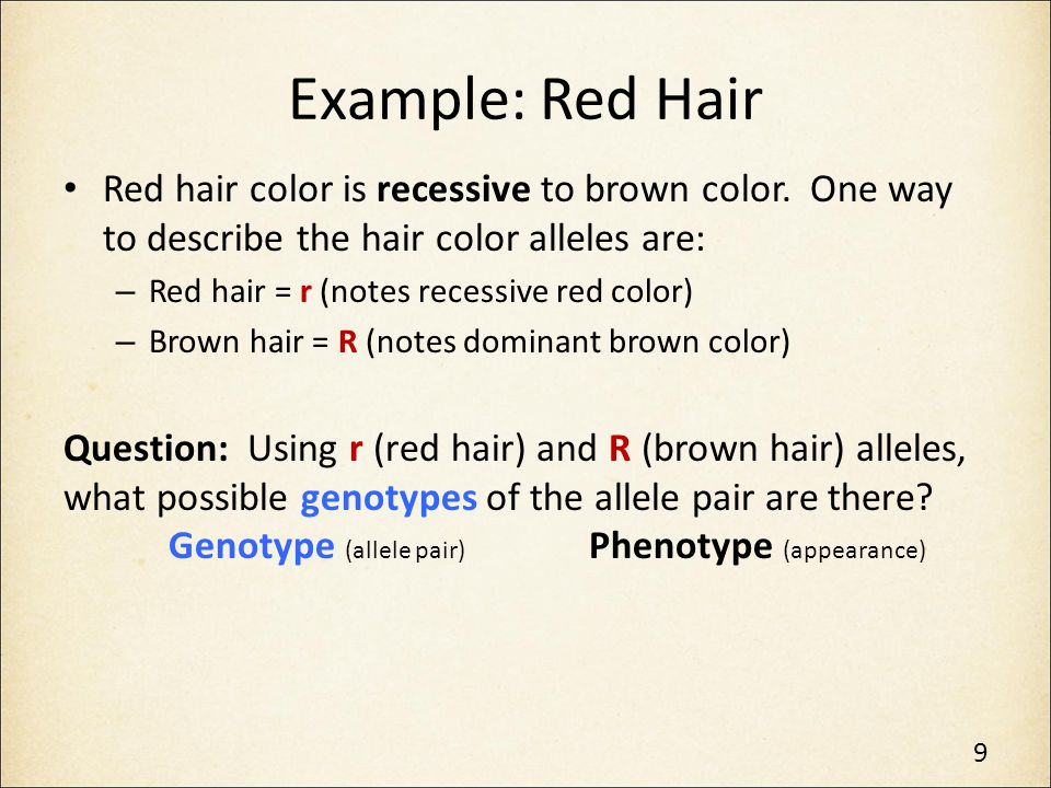 Example: Red Hair Red hair color is recessive to brown color. One way to describe the hair color alleles are: