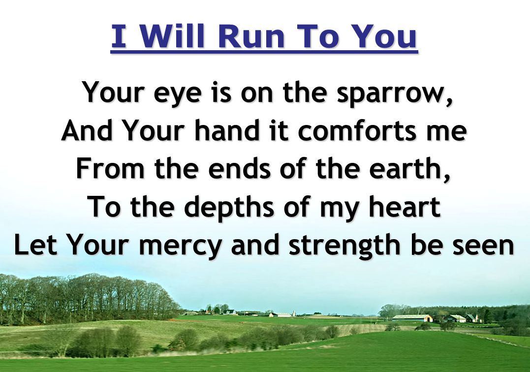 I Will Run To You Your eye is on the sparrow, And Your hand it comforts me From the ends of the earth, To the depths of my heart Let Your mercy and strength be seen