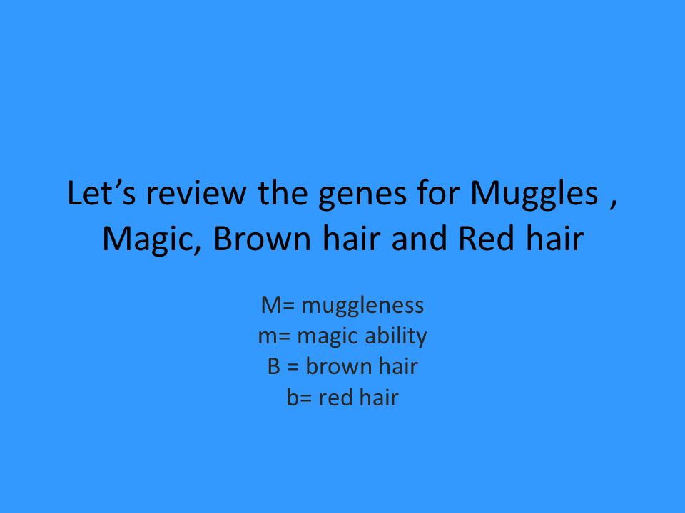 Let’s review the genes for Muggles , Magic, Brown hair and Red hair