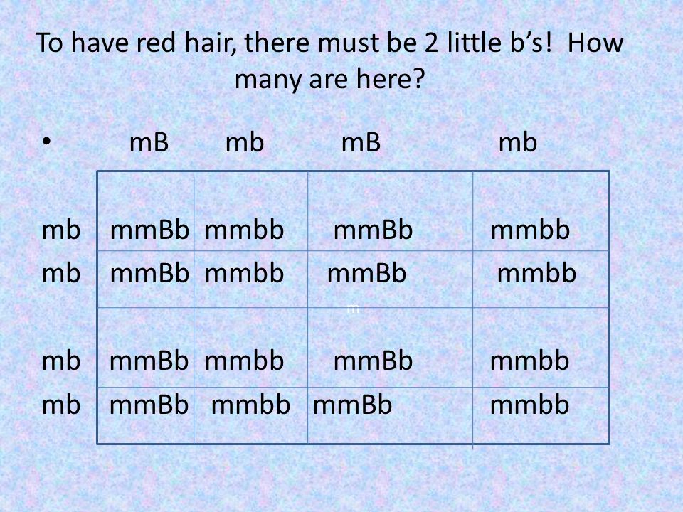 To have red hair, there must be 2 little b’s! How many are here