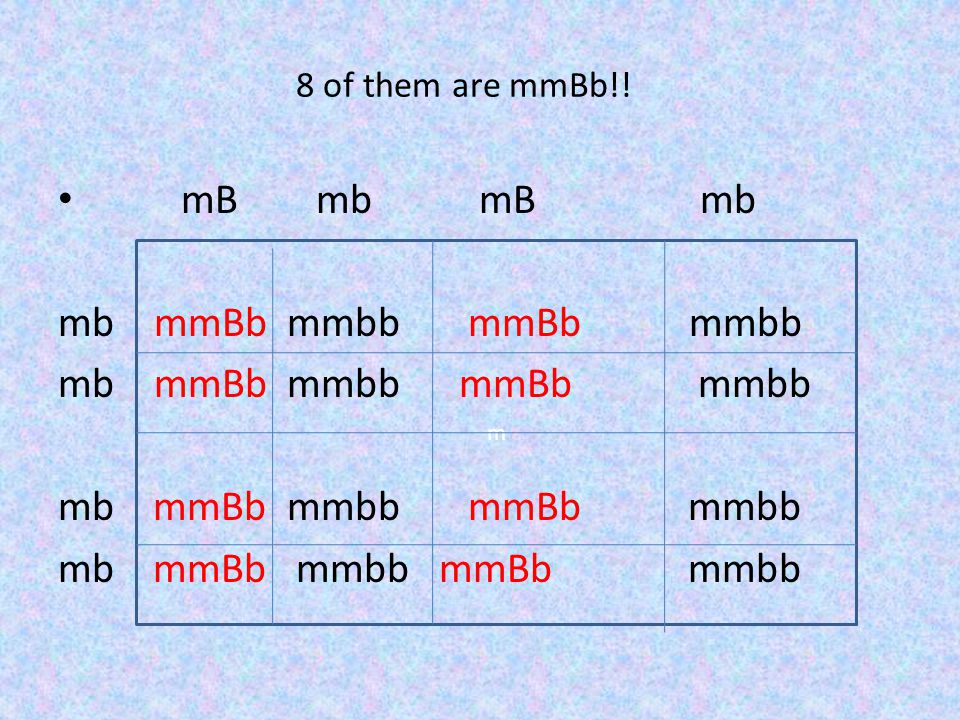 mB mb mB mb mb mmBb mmbb mmBb mmbb mb mmBb mmbb mmBb mmbb