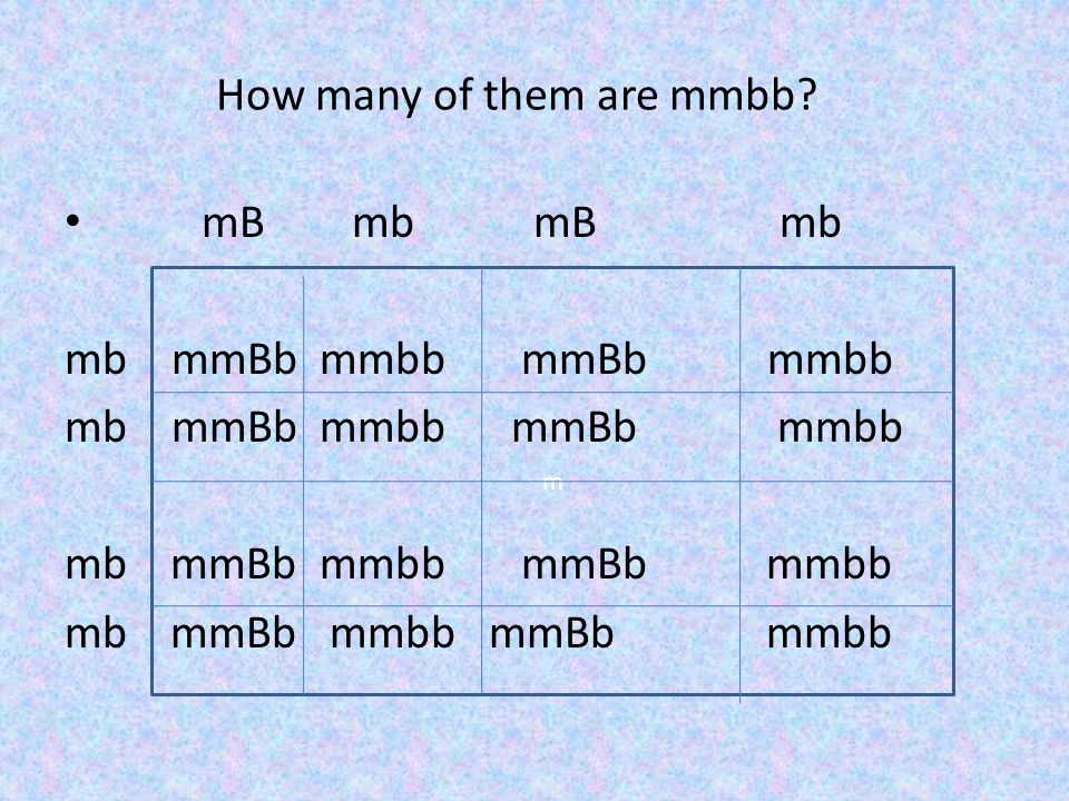 How many of them are mmbb