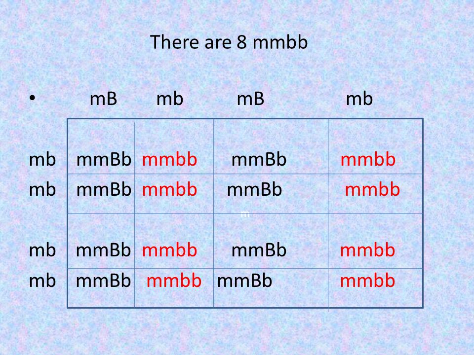 There are 8 mmbb mB mb mB mb mb mmBb mmbb mmBb mmbb