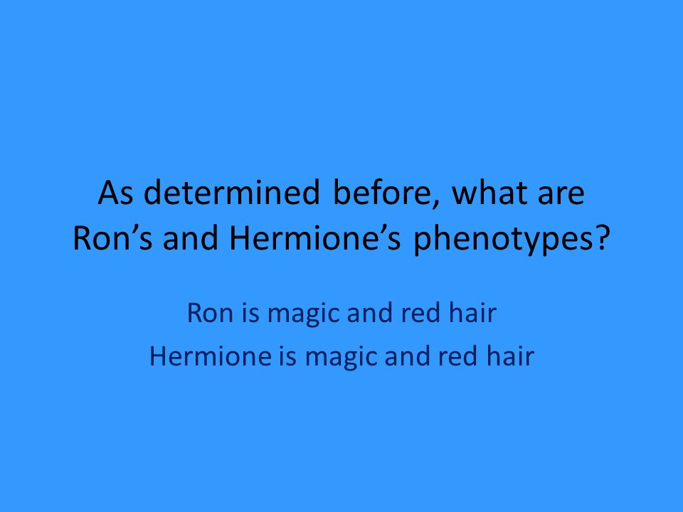 As determined before, what are Ron’s and Hermione’s phenotypes