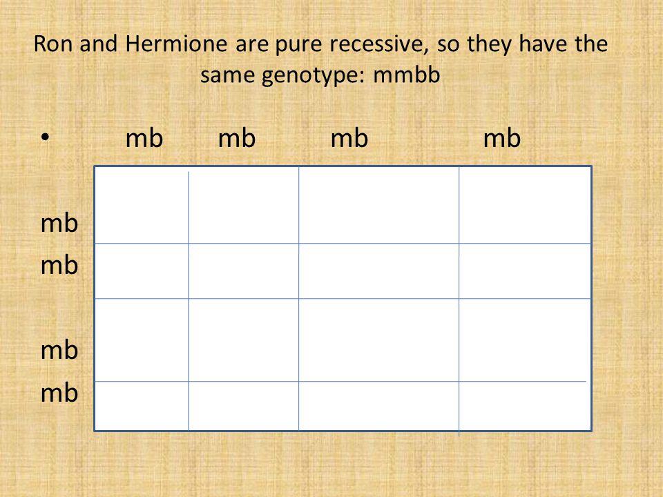 Ron and Hermione are pure recessive, so they have the same genotype: mmbb