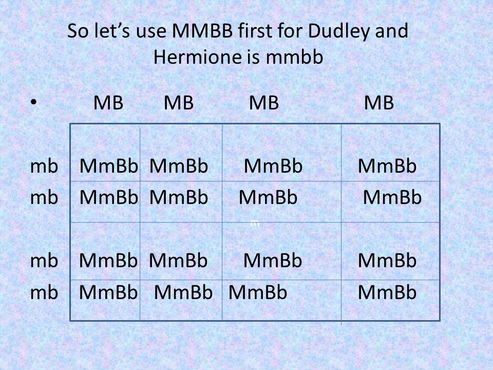 So let’s use MMBB first for Dudley and Hermione is mmbb