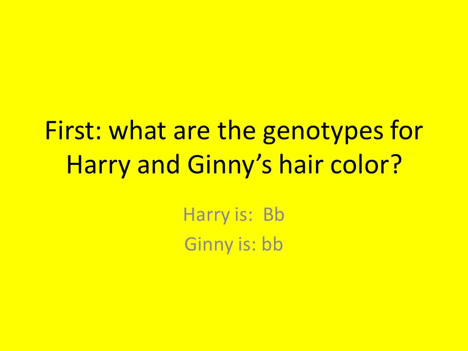 First: what are the genotypes for Harry and Ginny’s hair color