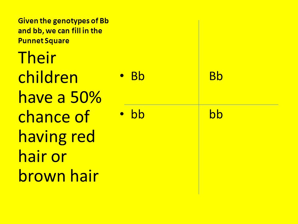Given the genotypes of Bb and bb, we can fill in the Punnet Square