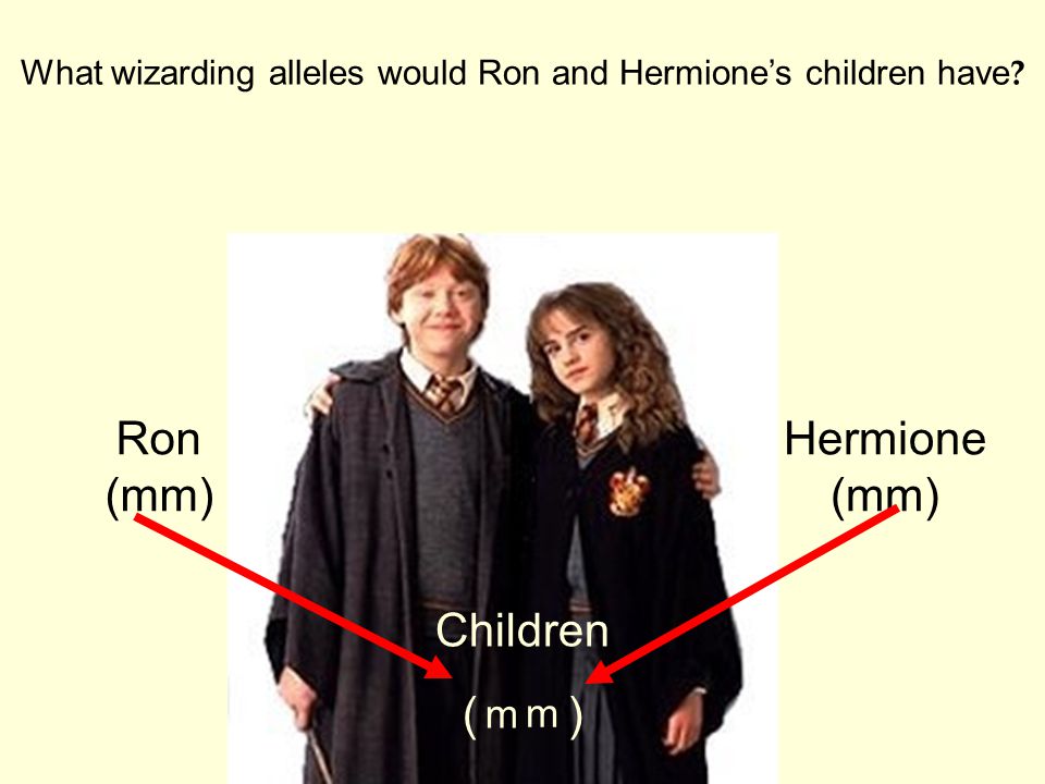 What wizarding alleles would Ron and Hermione’s children have