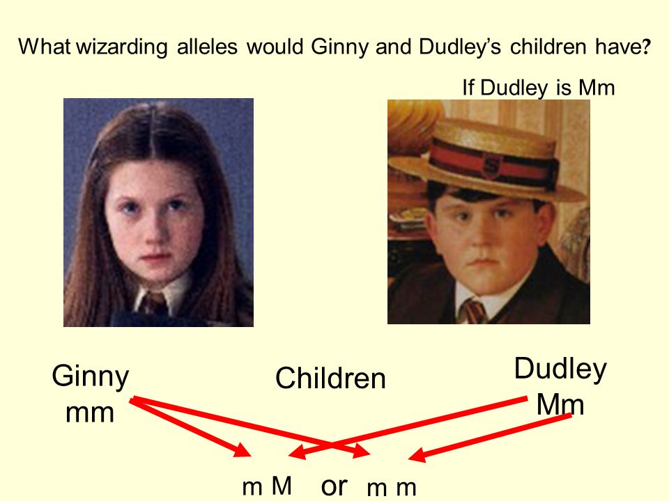 What wizarding alleles would Ginny and Dudley’s children have