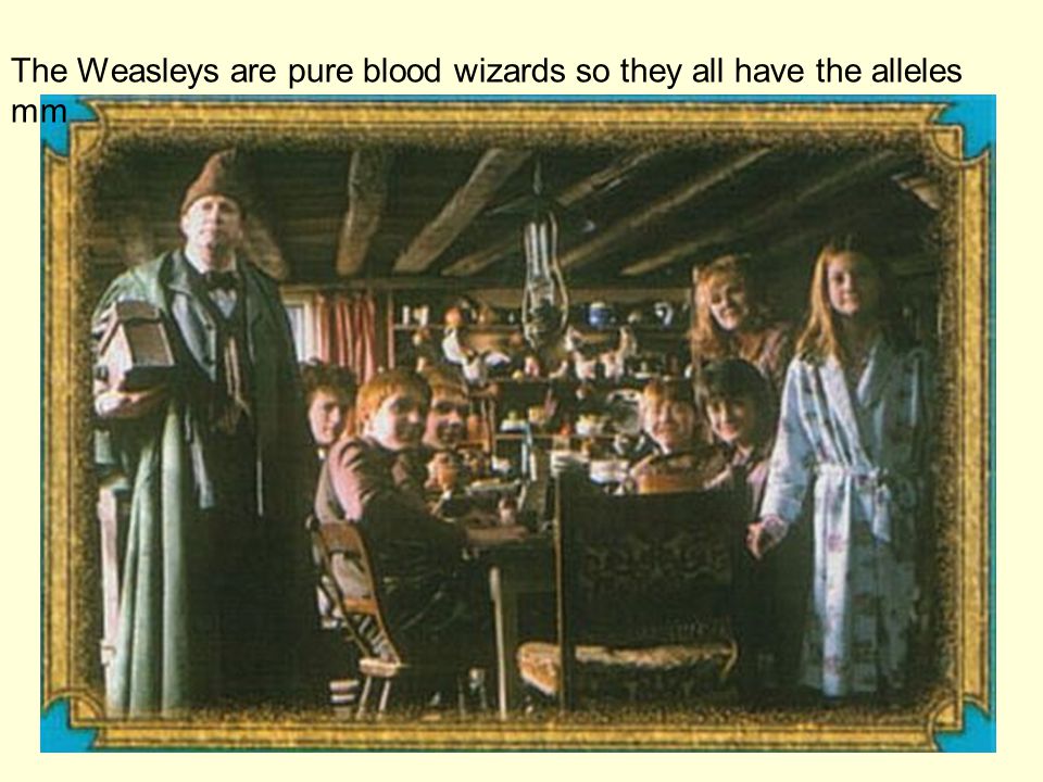 The Weasleys are pure blood wizards so they all have the alleles mm