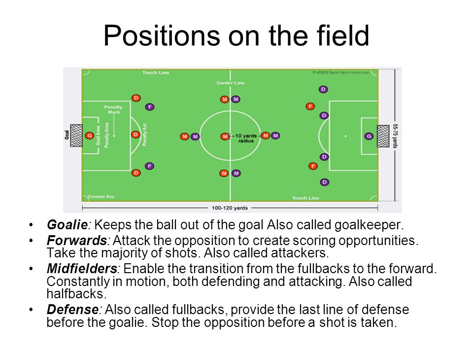 Positions on the field Goalie: Keeps the ball out of the goal Also called goalkeeper.