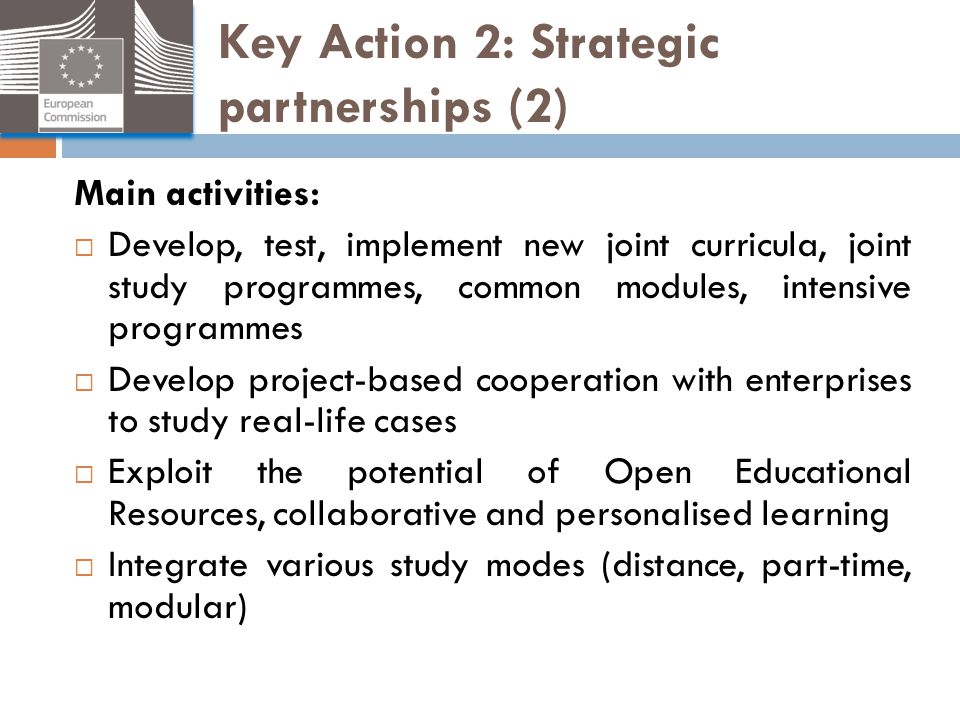 Key Action 2: Strategic partnerships (2)