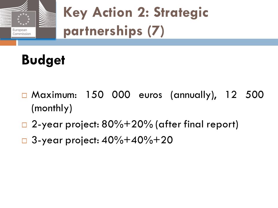Key Action 2: Strategic partnerships (7)