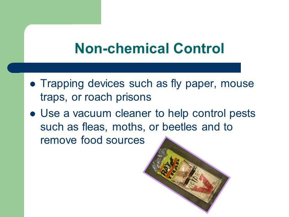 Non-chemical Control Trapping devices such as fly paper, mouse traps, or roach prisons.
