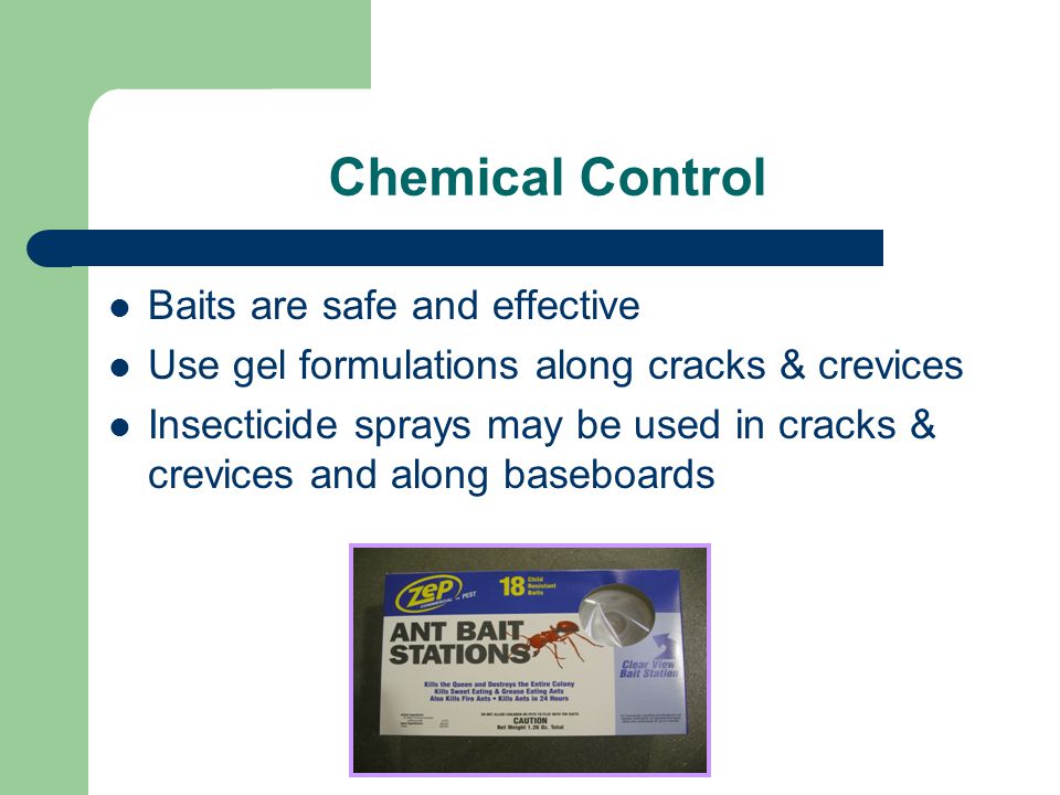 Chemical Control Baits are safe and effective