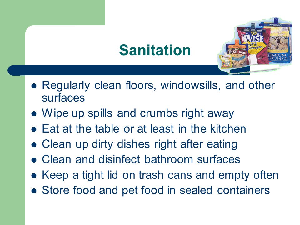 Sanitation Regularly clean floors, windowsills, and other surfaces