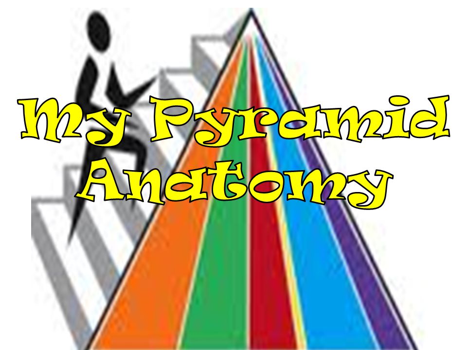 My Pyramid Anatomy