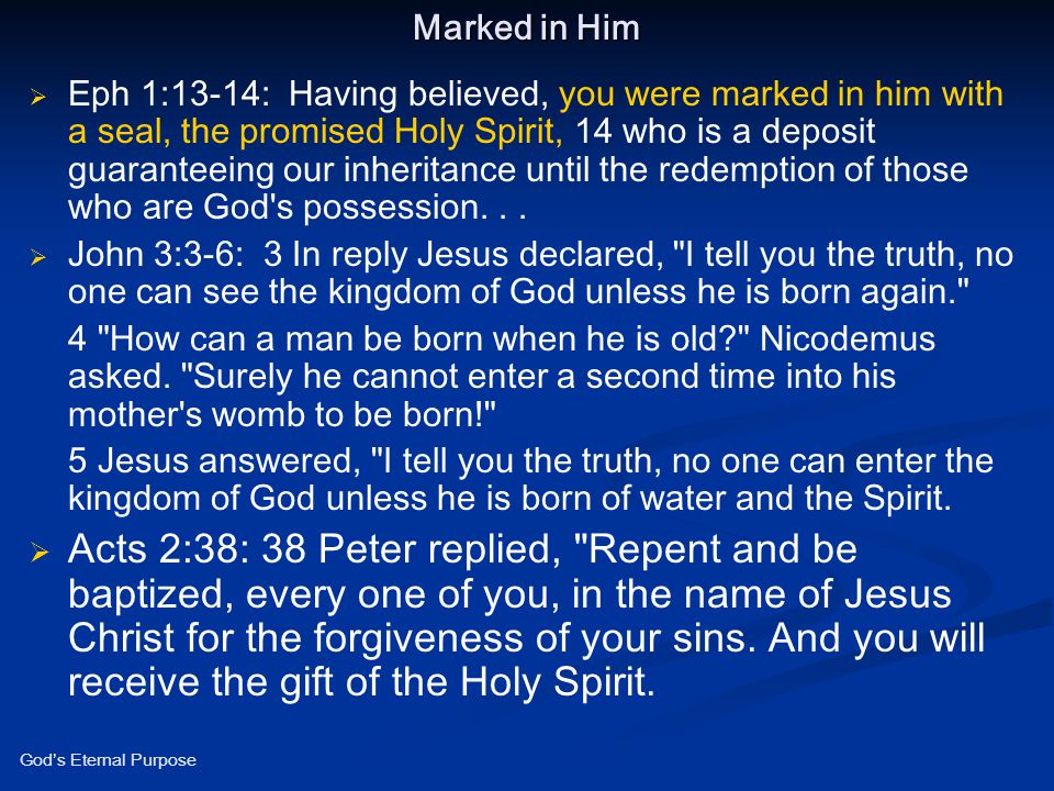 Marked in Him