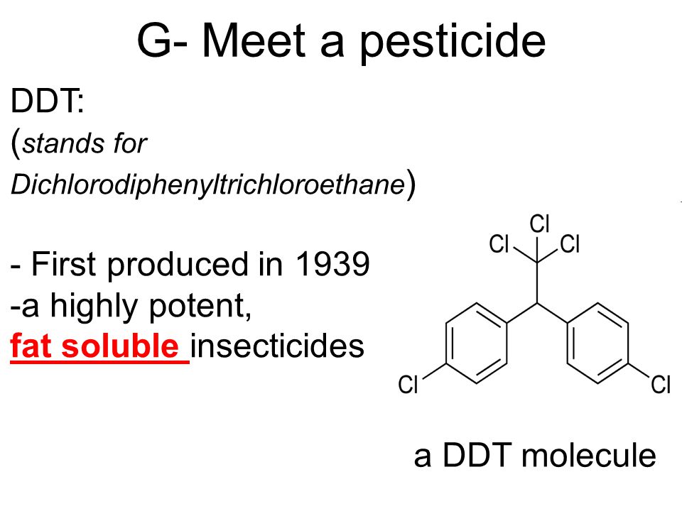 G- Meet a pesticide DDT: (stands for Dichlorodiphenyltrichloroethane)