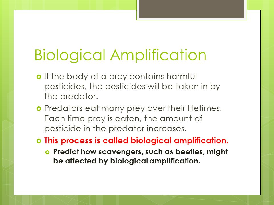 Biological Amplification