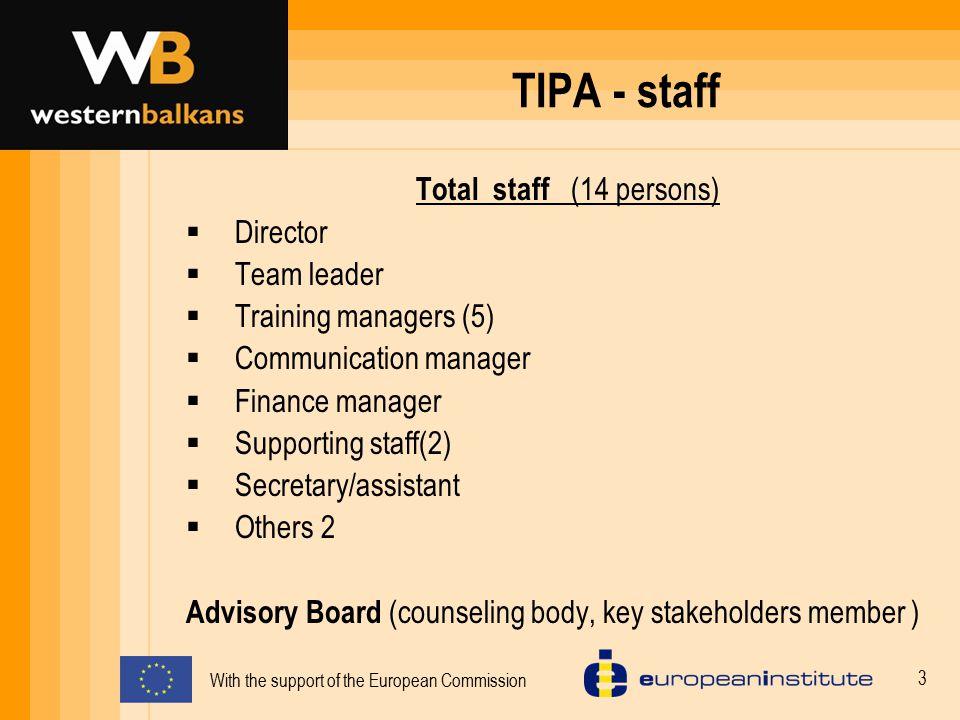 TIPA - staff Total staff (14 persons) Director Team leader
