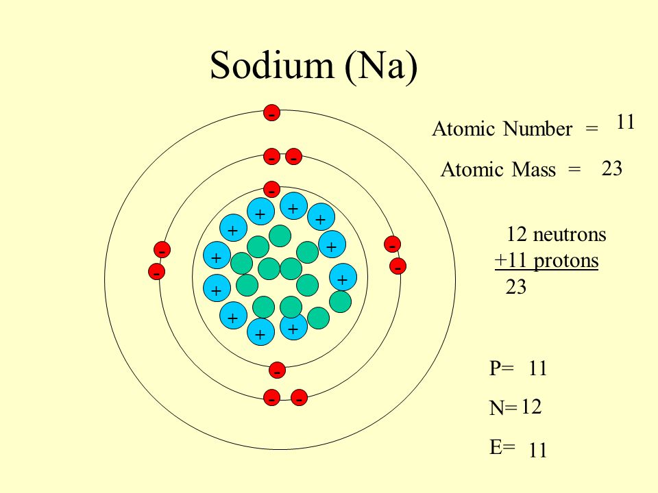 Sodium (Na) - 11 Atomic Number = - - Atomic Mass = neutrons
