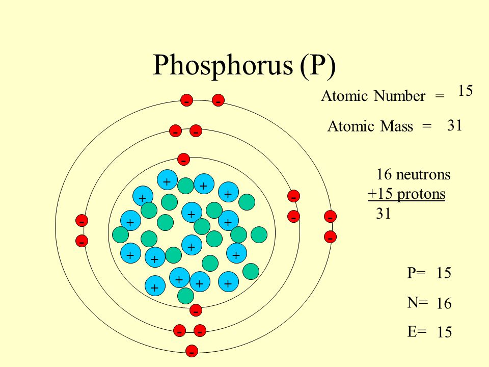 Phosphorus (P) 15 Atomic Number = - - Atomic Mass =