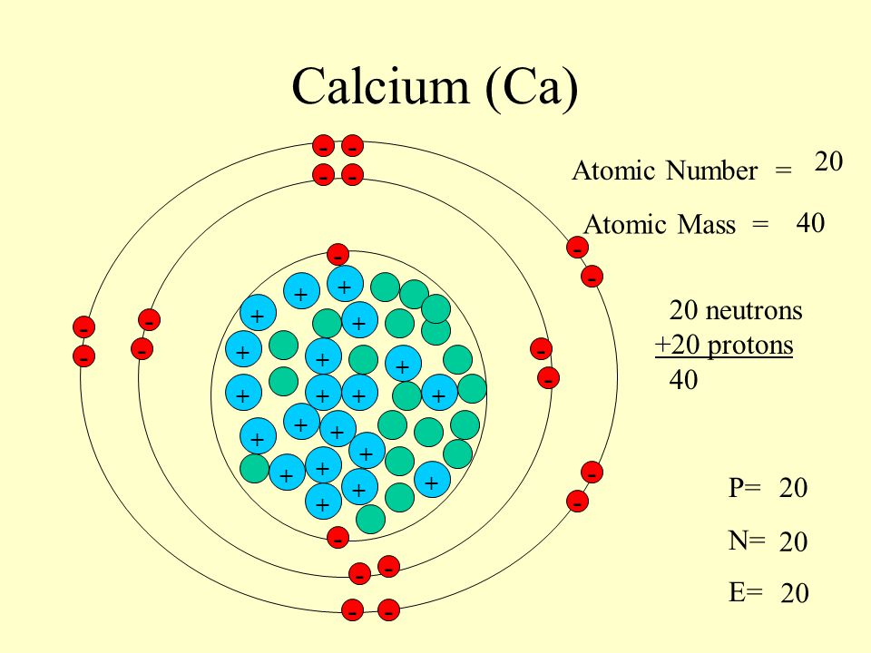 Calcium (Ca) Atomic Number = - - Atomic Mass =