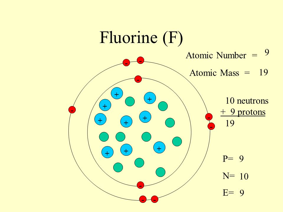 Fluorine (F) 9 Atomic Number = - - Atomic Mass = neutrons