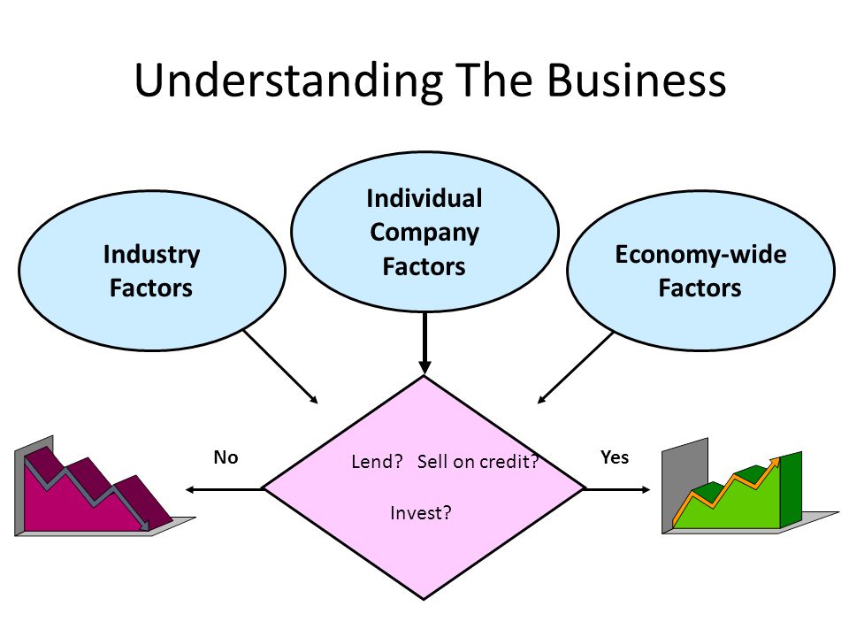 Understanding The Business