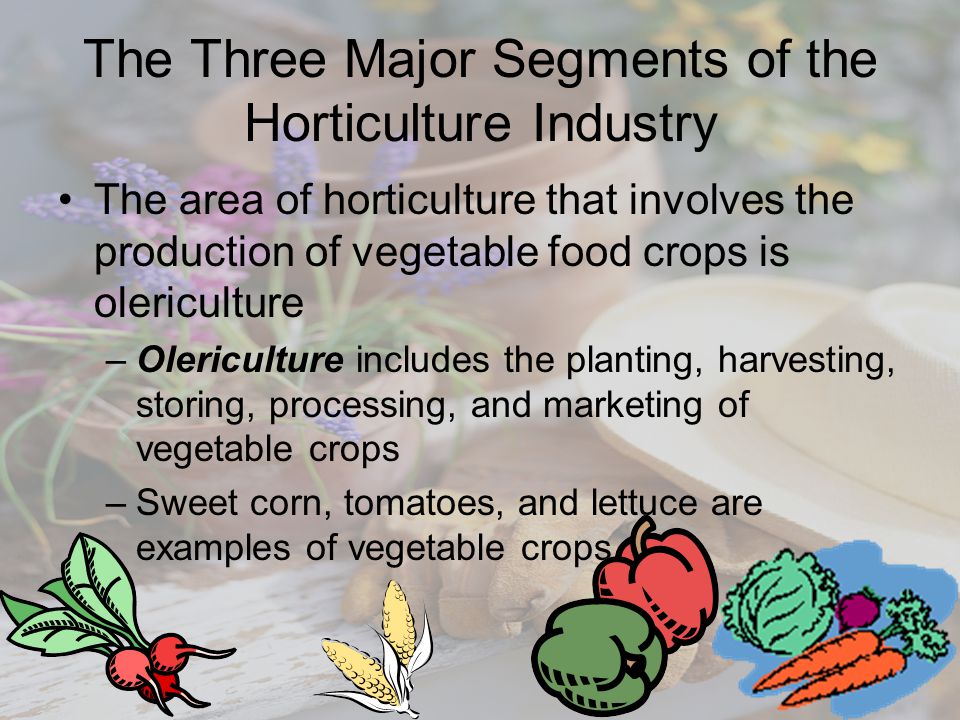 The Three Major Segments of the Horticulture Industry