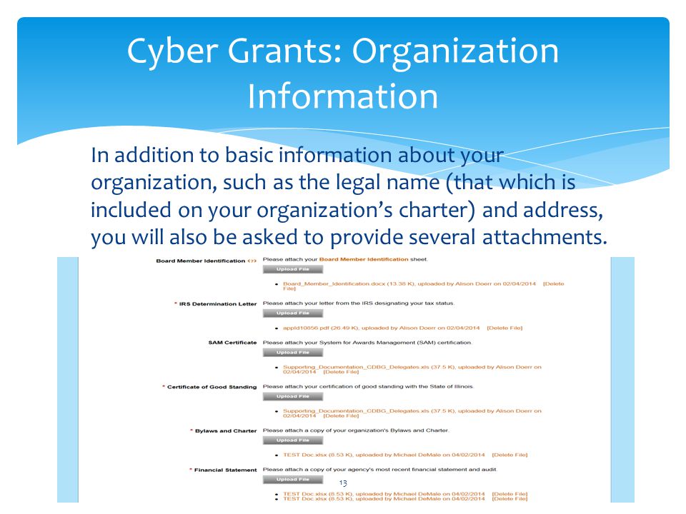 Cyber Grants: Organization Information