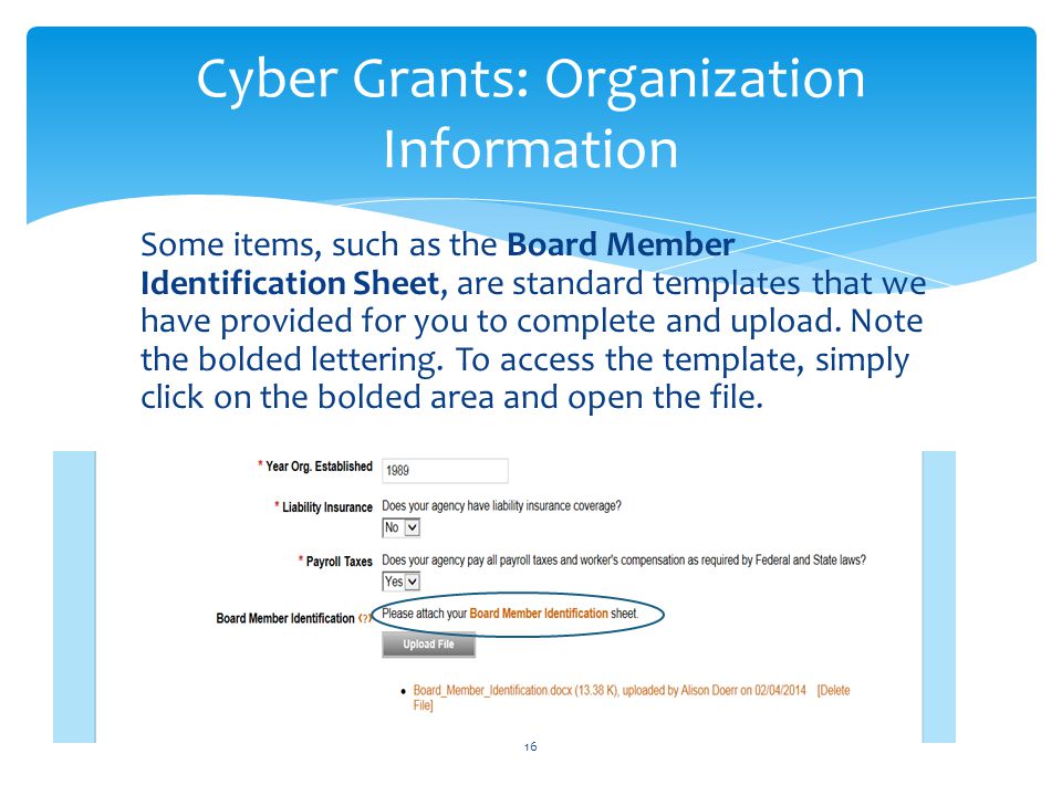 Cyber Grants: Organization Information