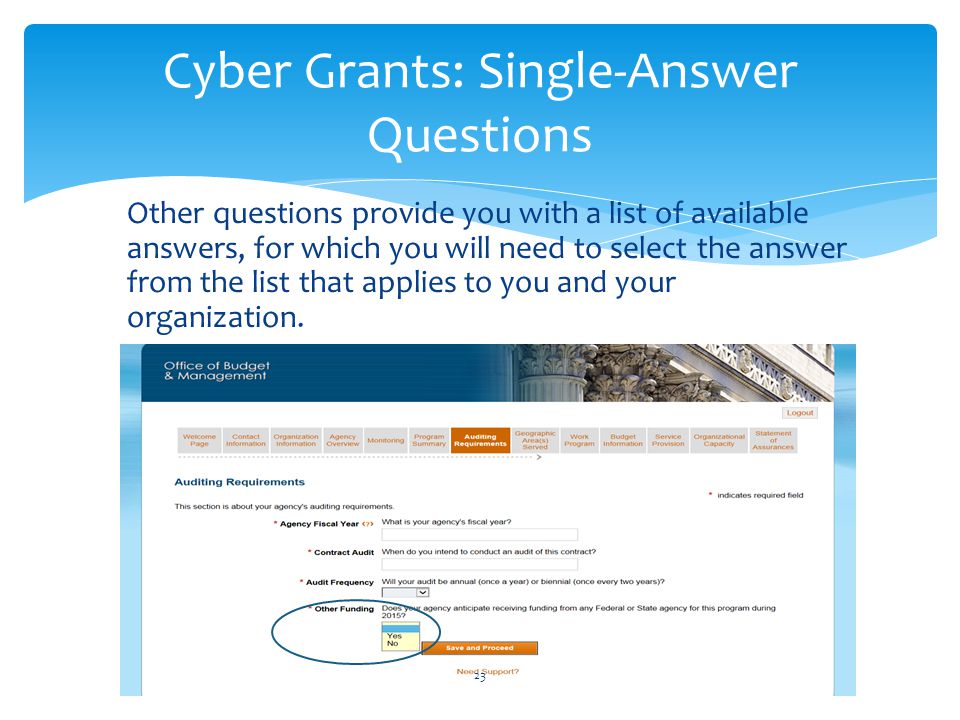 Cyber Grants: Single-Answer Questions