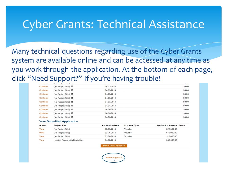 Cyber Grants: Technical Assistance