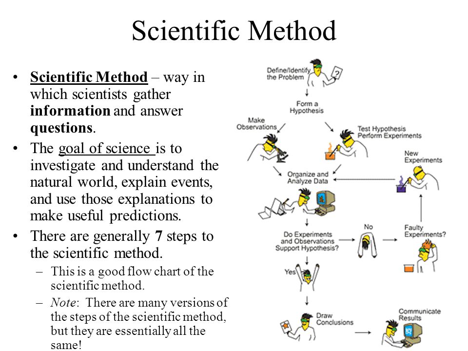 The fucking scientific method