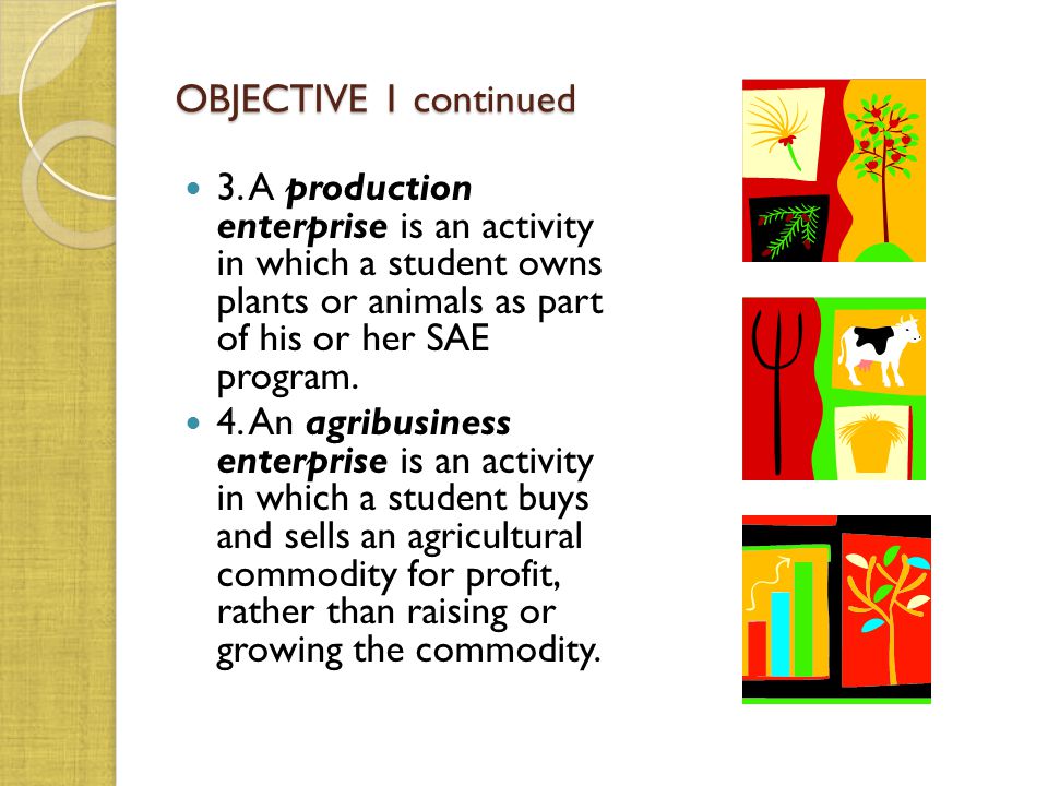 OBJECTIVE 1 continued 3. A production enterprise is an activity in which a student owns plants or animals as part of his or her SAE program.