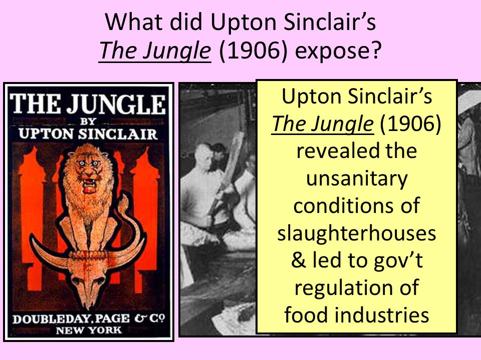 What did Upton Sinclair’s The Jungle (1906) expose