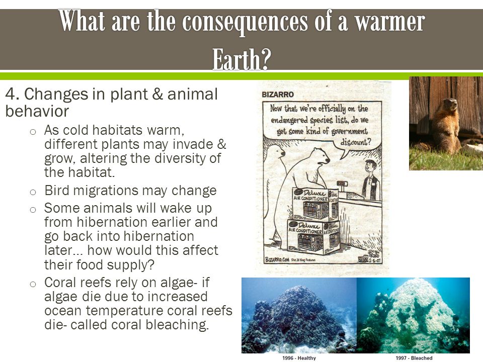 What are the consequences of a warmer Earth