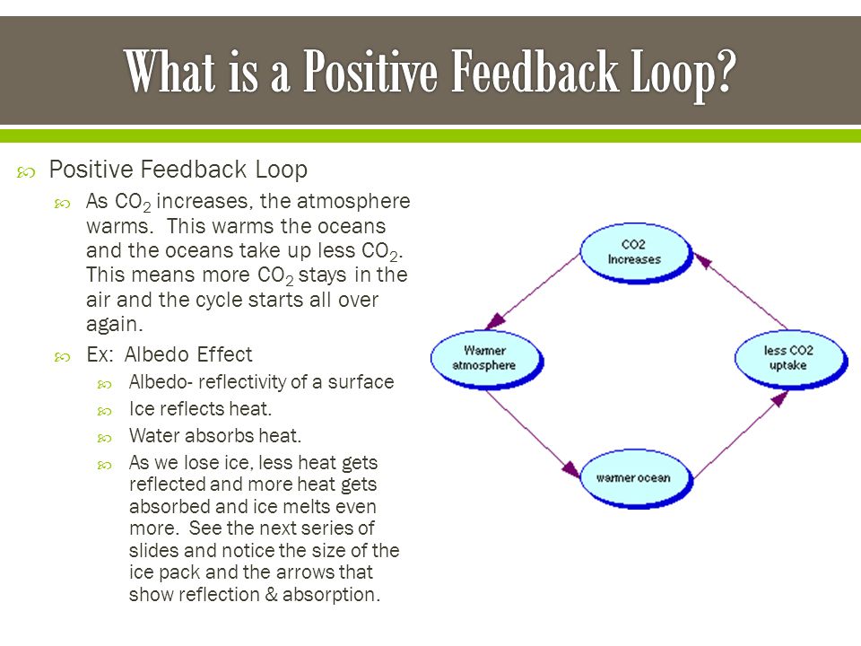 What is a Positive Feedback Loop
