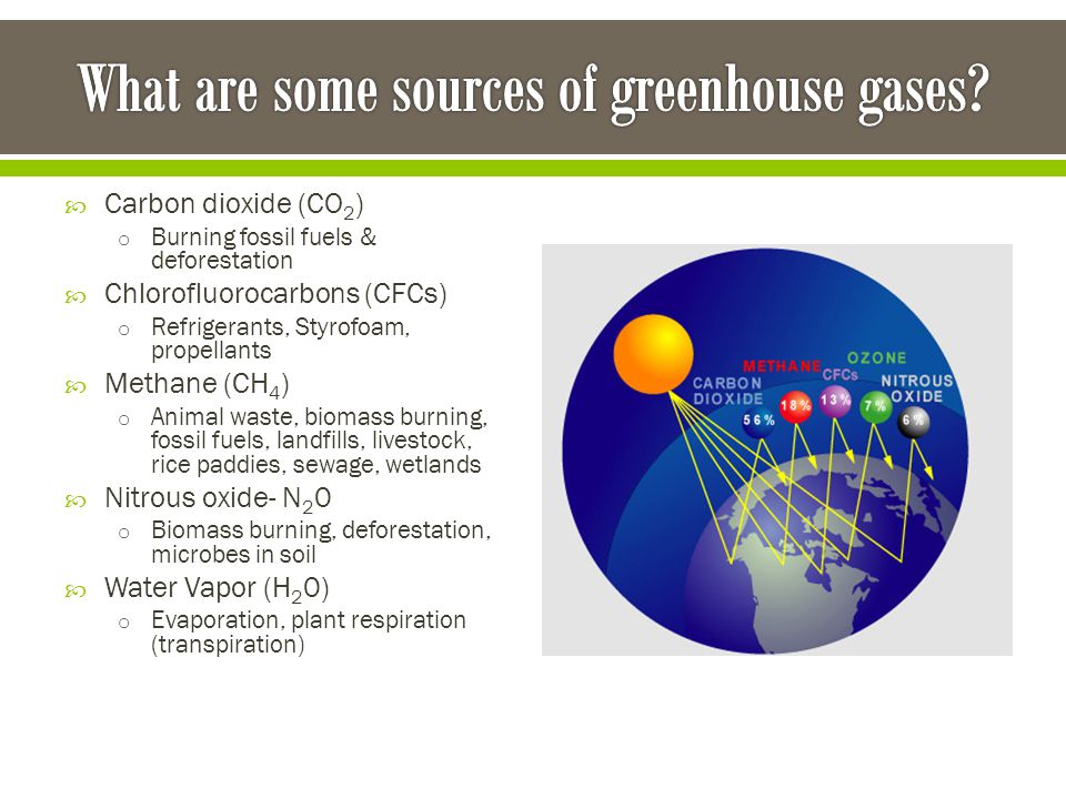 What are some sources of greenhouse gases