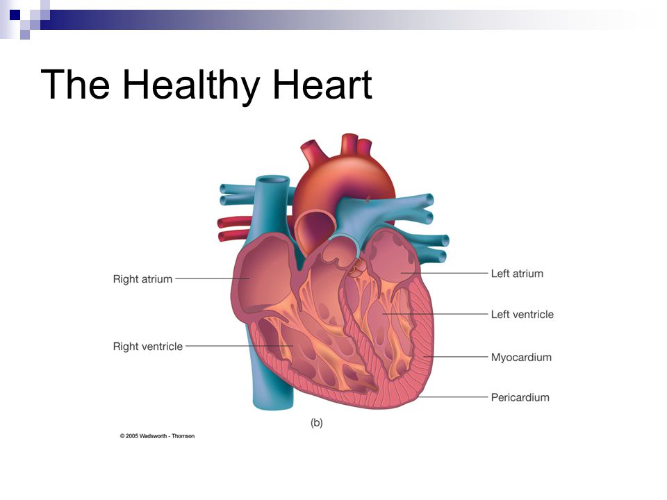 The Healthy Heart Figure 14.1