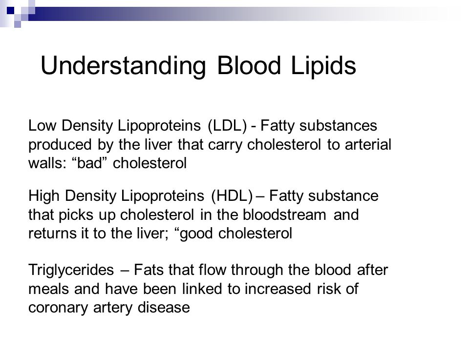 Understanding Blood Lipids