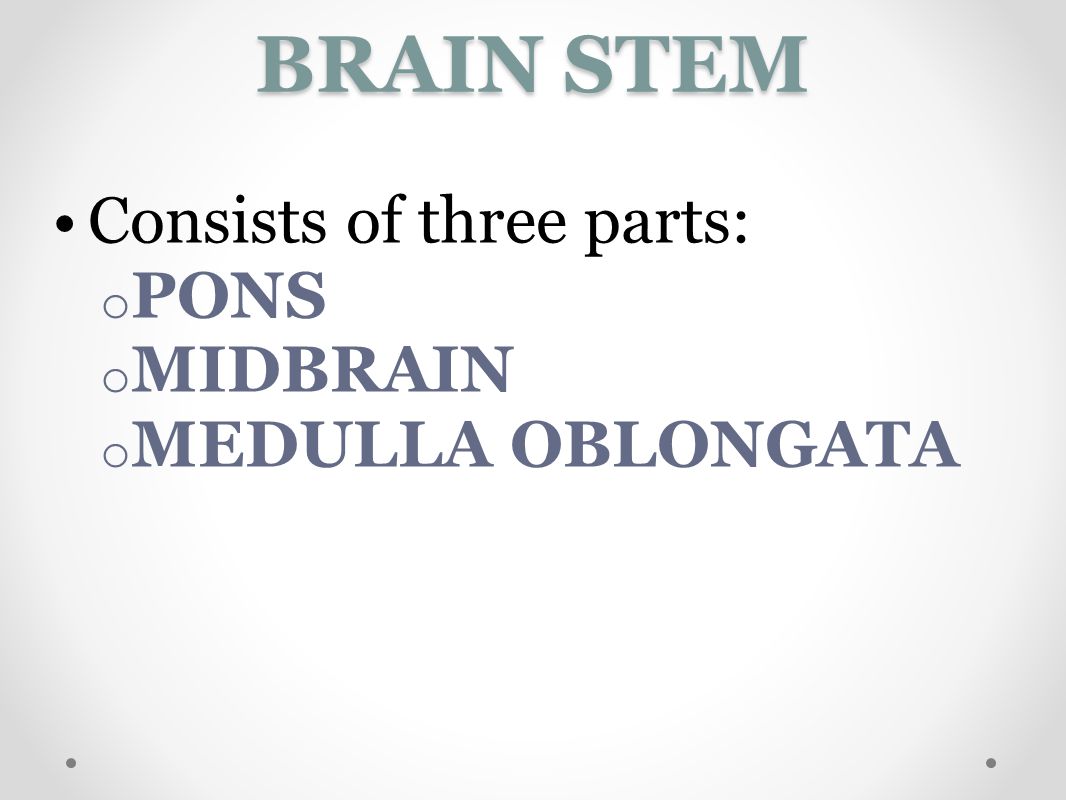 BRAIN STEM Consists of three parts: PONS MIDBRAIN MEDULLA OBLONGATA